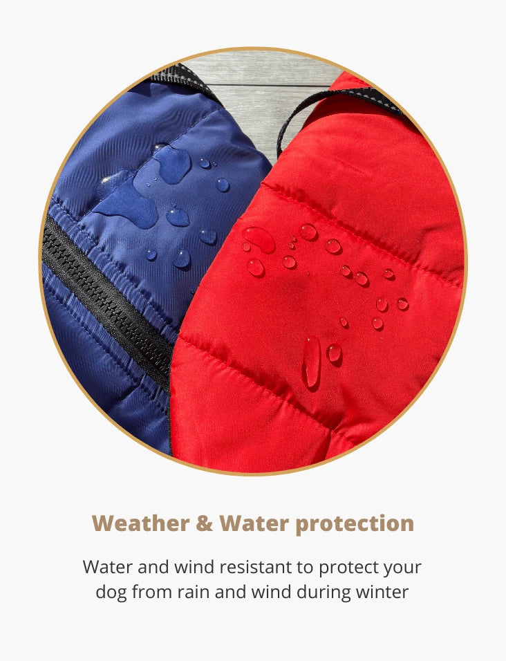 PawShield™ 3-in-1 Waterproof Dog Coat & Harness