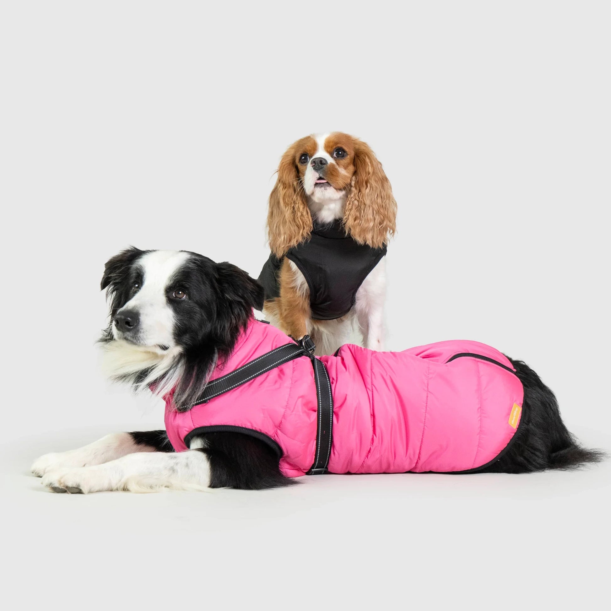 PawShield™ 3-in-1 Waterproof Dog Coat & Harness