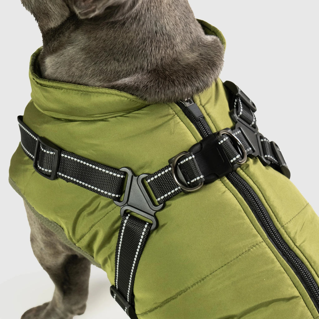 PawShield™ 3-in-1 Waterproof Dog Coat & Harness