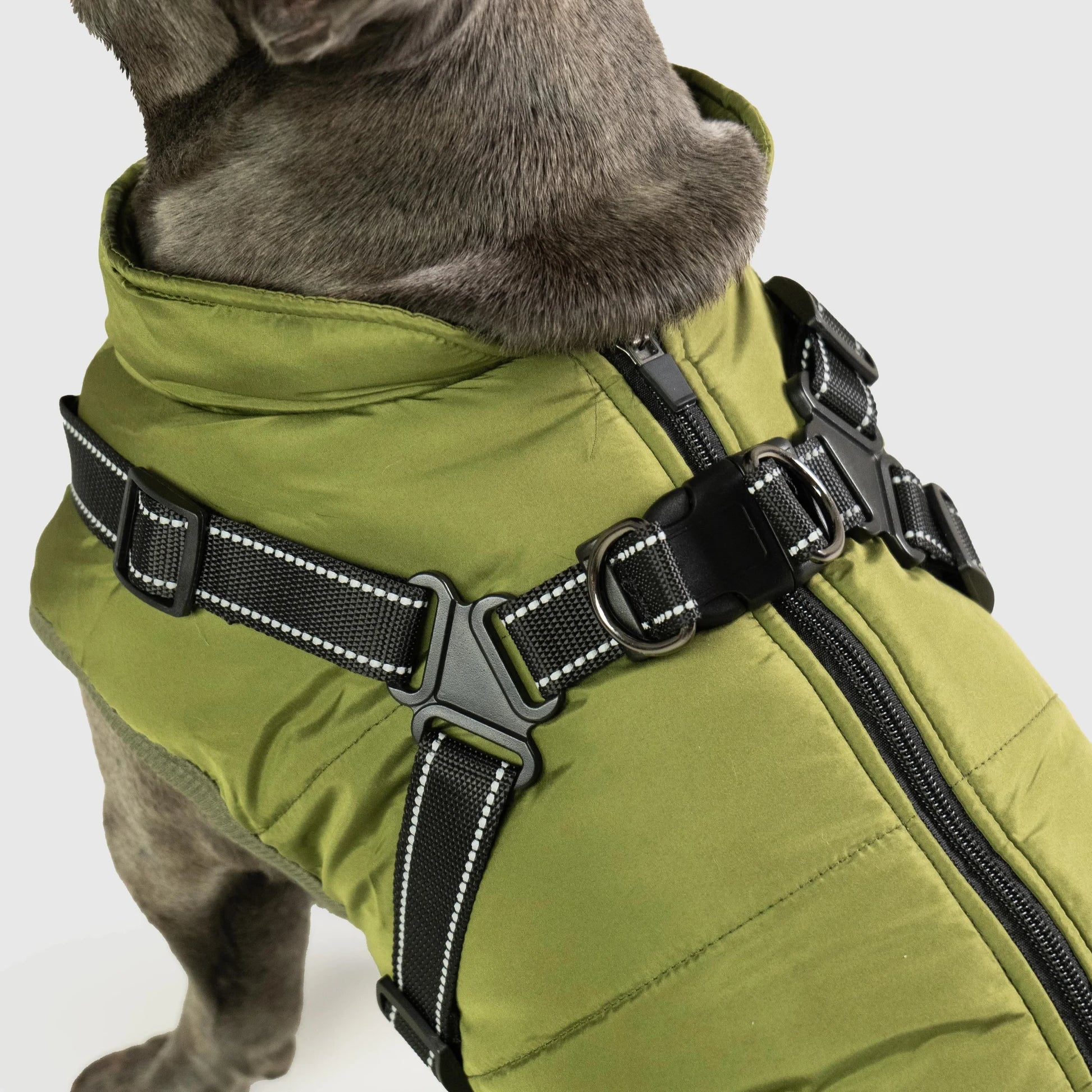 PawShield™ 3-in-1 Waterproof Dog Coat & Harness