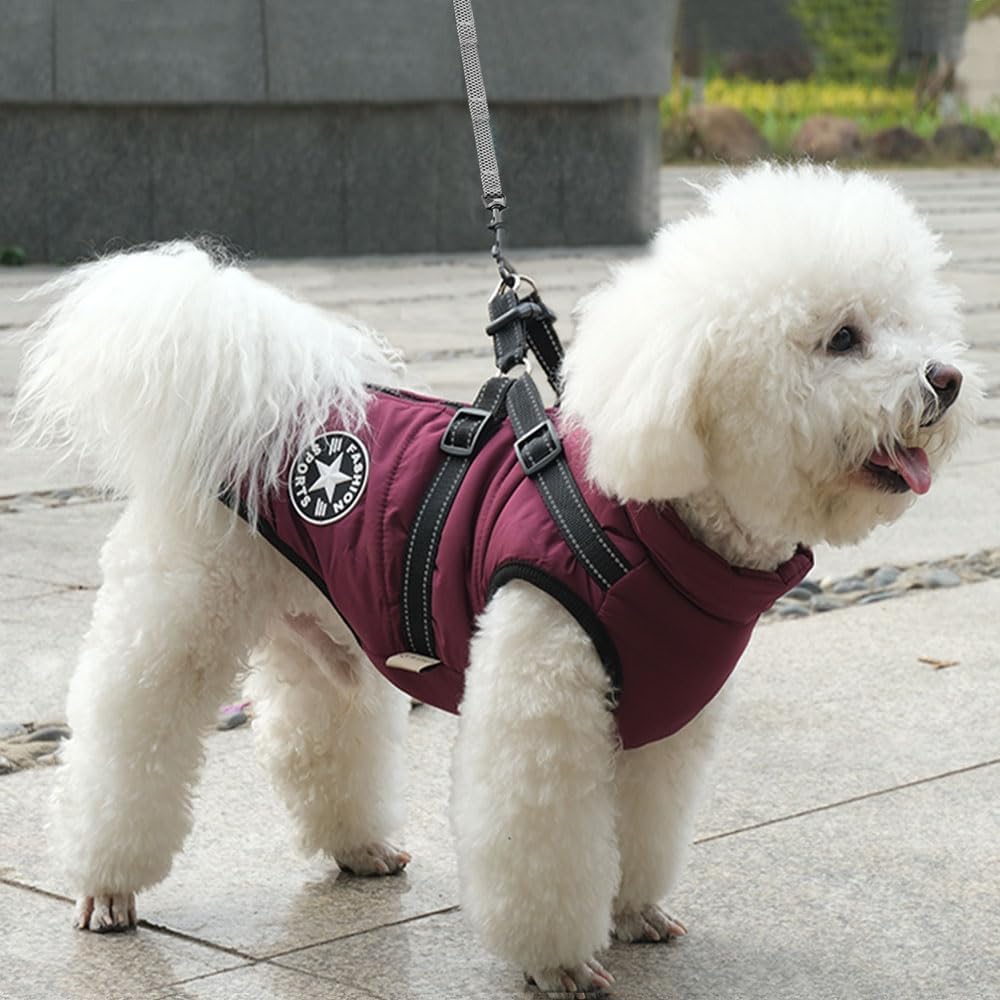 PawShield™ 3-in-1 Waterproof Dog Coat & Harness