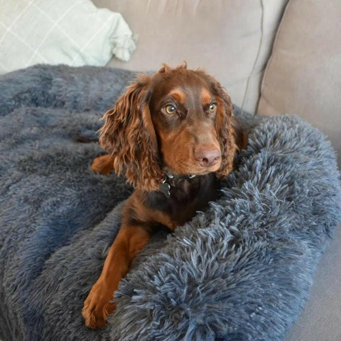 CalmCover™ – Plush Dog Bed Cover - Waggsie