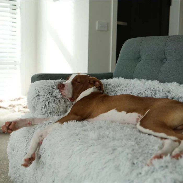 CalmCover™ – Plush Dog Bed Cover